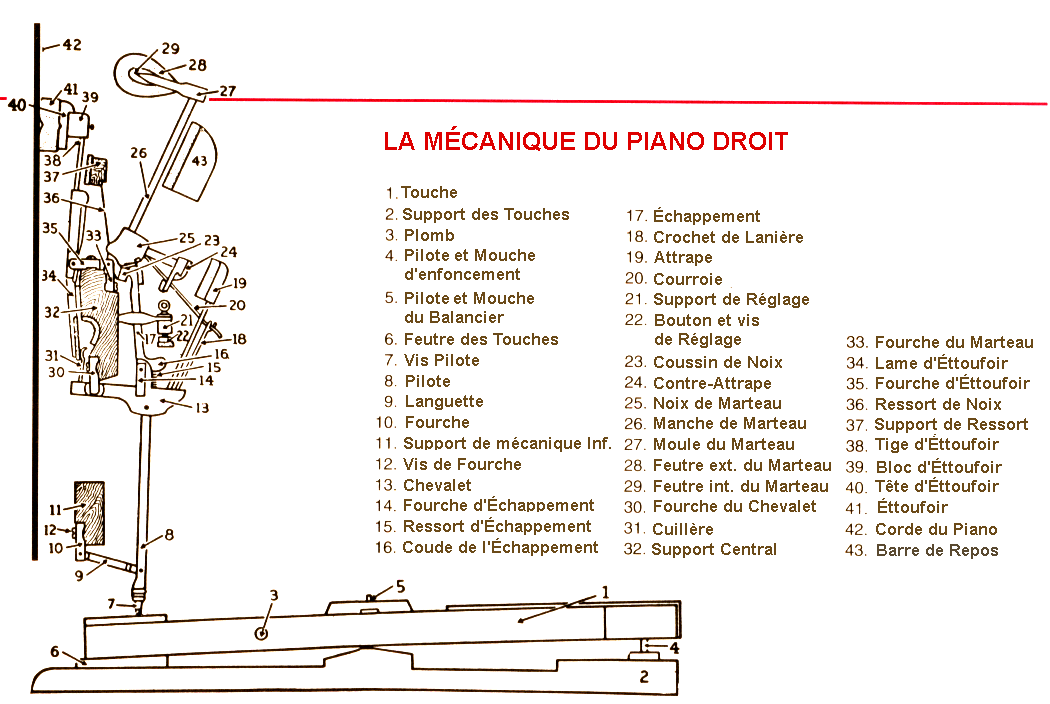 Mcanique du Piano Droit